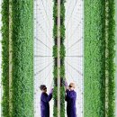 수자원농장 이미지