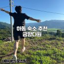 하동 숙소 추천 조용하고 뷰 맛집 금향다원 내돈내산