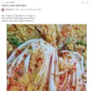 강원도~ 알배기 쌈배추 12~15포기내외 // 맛있는 꿀고구마 10키로 15,000원 무료배송 이미지