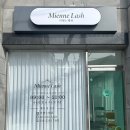 미엔느래쉬 이미지