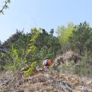 2공단공원 이미지