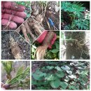 둔수농장 이미지