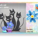 마음애들어 이미지