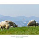 버덩목장 이미지