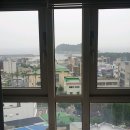 일성트루엘공인중개사사무소 이미지