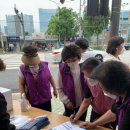 은평구 17 서울매일