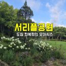 고속터미널역 7호선 | [서초구 산책명소] 서리풀공원 ~ 몽마르뜨공원 1시간 20분 코스 (고속터미널역 출발, 방배역 도착)