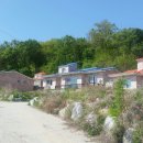 상표목장 이미지