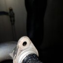 여수디젤서비스 이미지