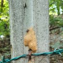 상갈초등학교 이미지