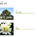 수변로57번길 이미지