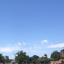 티그레(Tigre) 이미지