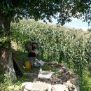 함백농장 이미지