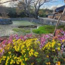 우물가빨래터 | 보성 녹차밭근처 때묻지않은 풍경 강골마을과 열화정