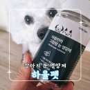 심쿵펫 | 마음반려 고함량 강아지 눈 영양제 [하율펫] 급여 후기