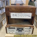 LP사구팔구 이미지