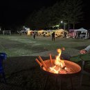 캠핑 앨리스 이미지