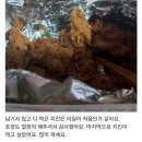 H1440 이미지