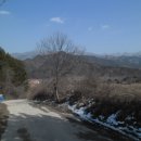 설천면114 Daum카페