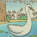 미운오리새끼 - 강서구 화곡로27길 26 | 미운오리새끼