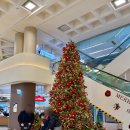 관아6길 10, (성내동) | 제주도 빵지순례 아베베 베이커리 빵 메뉴 추천 내돈내산