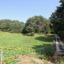 춘양체육공원 앞 이미지