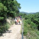 원적산길 이미지