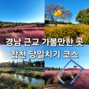 신소양체육공원 핑크뮬리 실시간 정보 합천 당일치기 코스,먹거리,주차정보 솔직한 후기