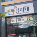 닥끌리네 이미지