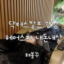 닥터스칼프 1년 내돈내산 후기, 두피 스트레스 싹 해결!
