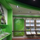 여주곤충박물관 이미지