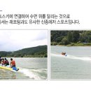 수목원레저 이미지