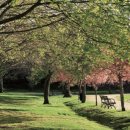 삼호웰빙 이미지