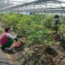 한창농장 이미지