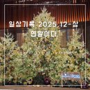 방배천로24길 8 | [일상기록] 2025.12월-상 : 연말이다