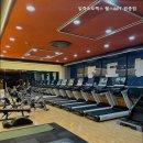 일죽스포렉스 이미지