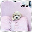 설악동물병원 이미지