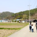 양평투어리즘