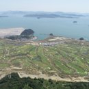 아라미르 이미지