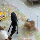 어썸멍스쿨 이미지