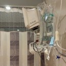 농업기술센터 본관 지하1층 화장실 | amh0.07)의 마리아신설동에서 5번째 난자채취 후기+채취난자개수+🧸수정란수까지! (마리아신설동 수정...