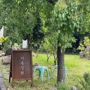 하영올레 2코스 | [제주도 서귀포시] [하영올레] 2코스