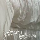 사미 이미지