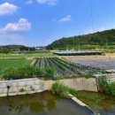 청통농장 이미지