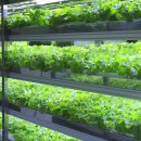 큰빛농장 이미지