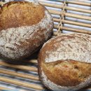 조현덕농장 이미지