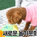 시소동물병원 이미지