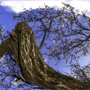 김해건설공업고등학교 이미지