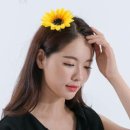 해바라기헤어 이미지