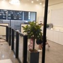 바니펫살롱 이미지